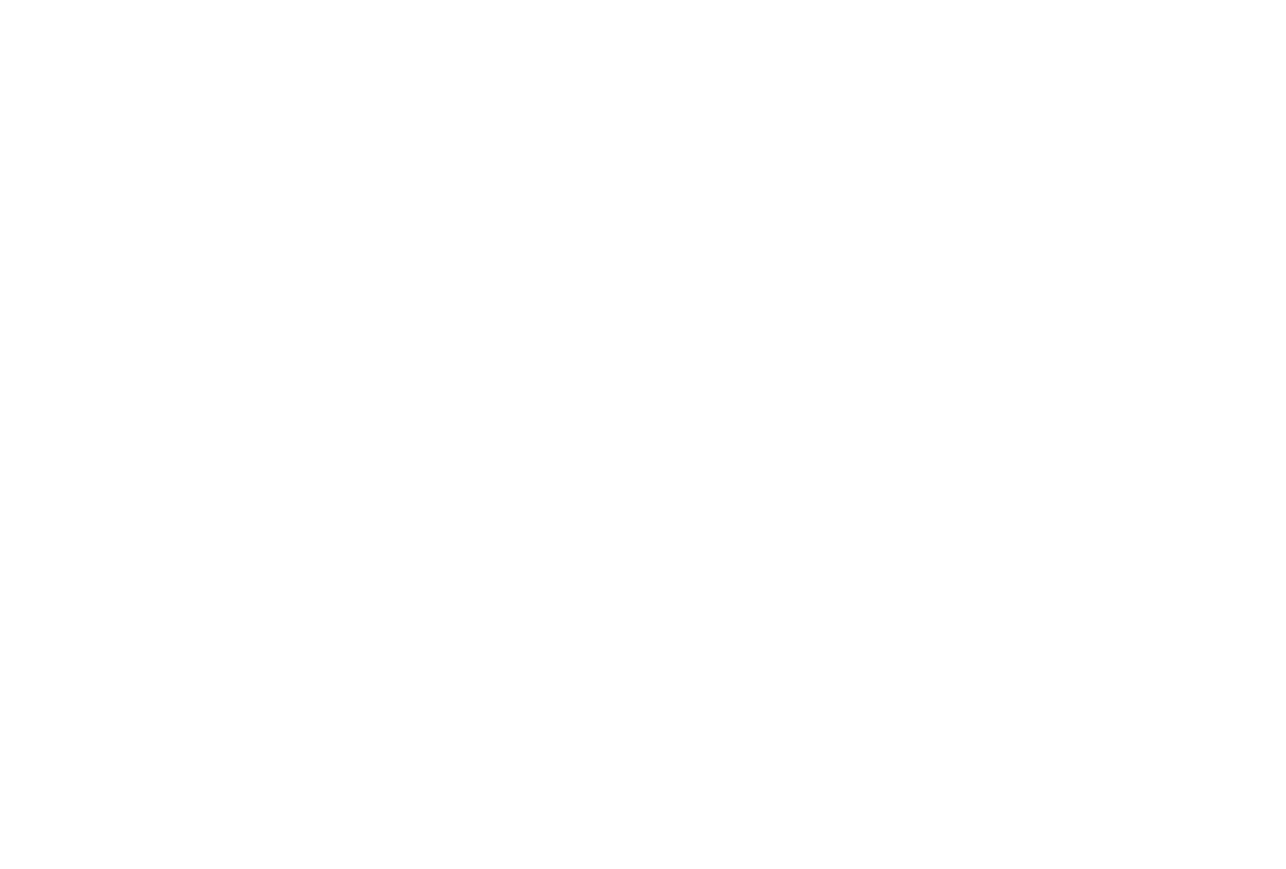 MAGGI