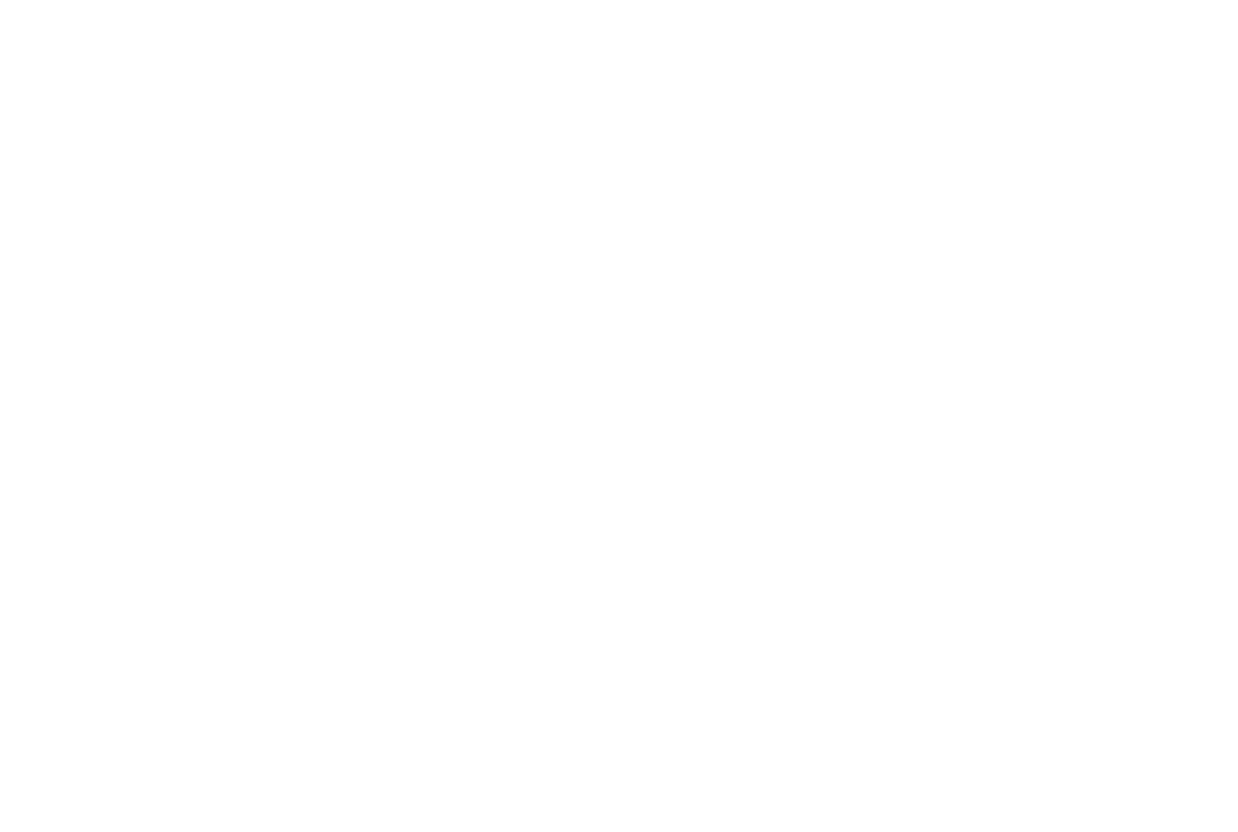 Корпорация МСП