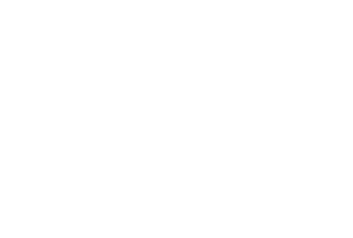 Garnier